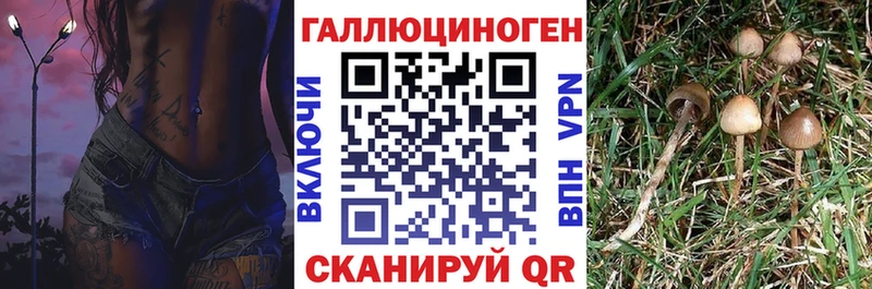 Галлюциногенные грибы прущие грибы Данков